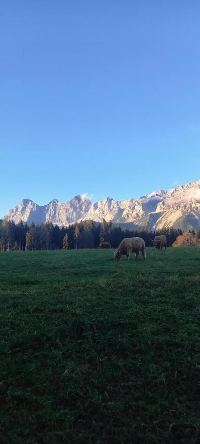 Landhaus-Koenigsberg, Vorberg 360 Ebenguetlweg Ramsau am Dachstein Eksteriør bilde